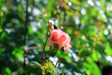 Similar image 22602967