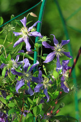 Similar image 22602968