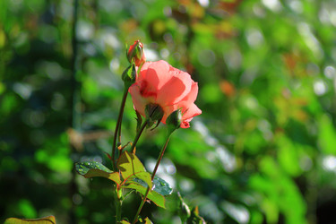 Similar image 22602969