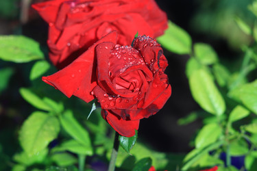 Similar image 22602970