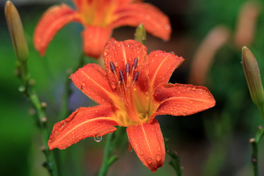 Similar image 22602972