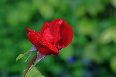 Similar image 22602973