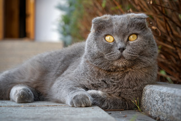 Similar image 22608366