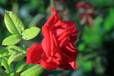 Similar image 22602974