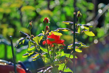 Similar image 22602975