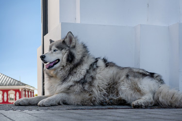 Similar image 22608380