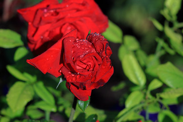 Similar image 22602977