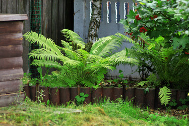 Similar image 22602978