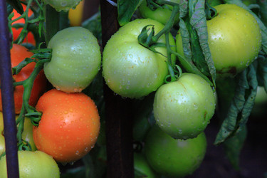 Similar image 22602979