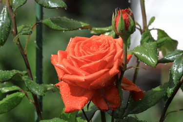 Similar image 22602990