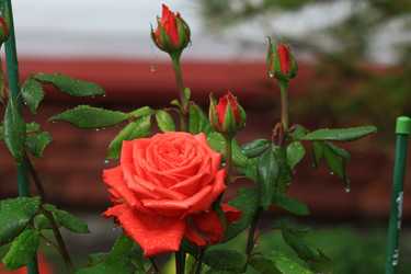 Similar image 22602991