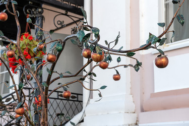 Similar image 22608382