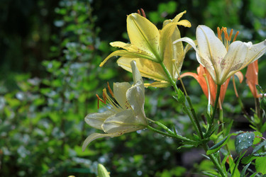 Similar image 22602993