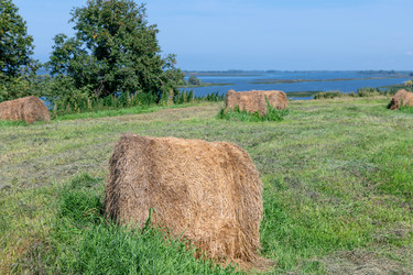 Similar image 22608410