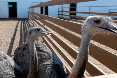 Similar image 22608425