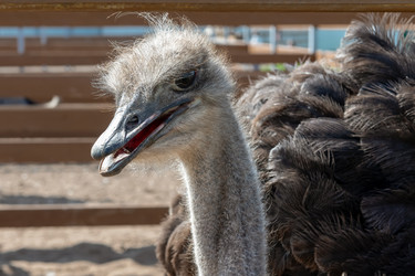 Similar image 22608427