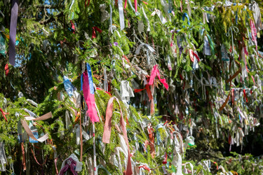 Similar image 22608354