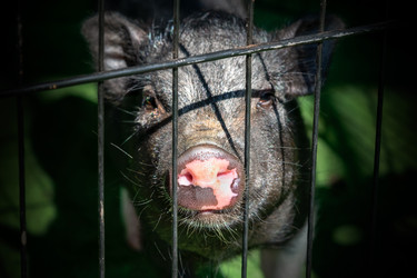 Similar image 22608370