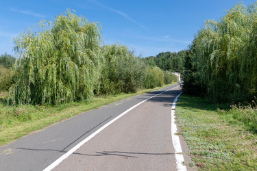 Similar image 22608398