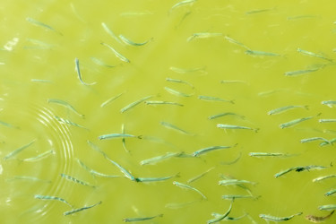 Similar image 22608399