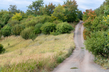 Similar image 22608385