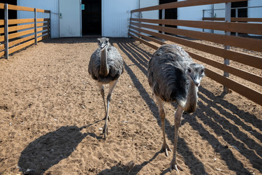 Similar image 22608404