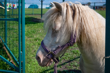 Similar image 22608358