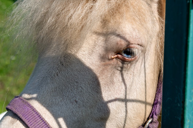 Similar image 22608375