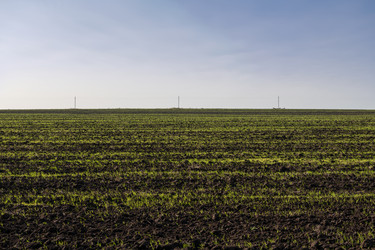 Similar image 22608387