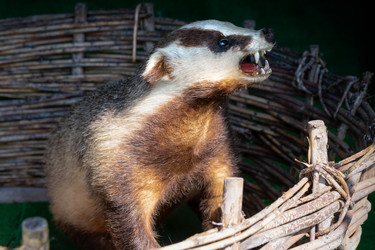 Similar image 22608389