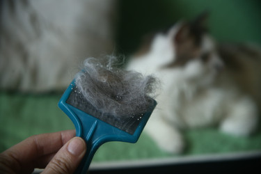 Similar image 22610834