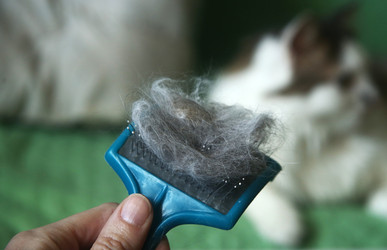 Similar image 22610835