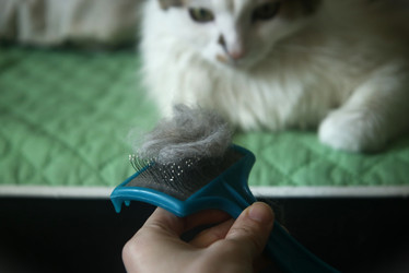 Similar image 22610836