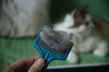 Similar image 22610837