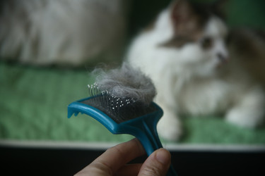 Similar image 22610839