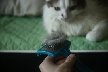 Similar image 22610840