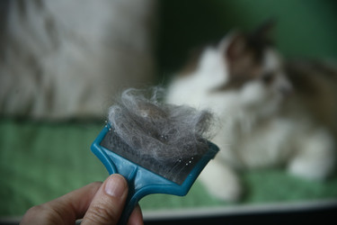 Similar image 22610841