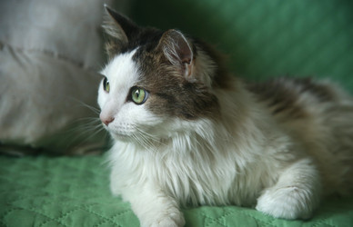 Similar image 22603594