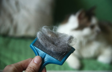 Similar image 22610842