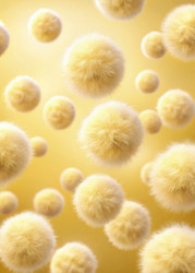 Similar image 22625014