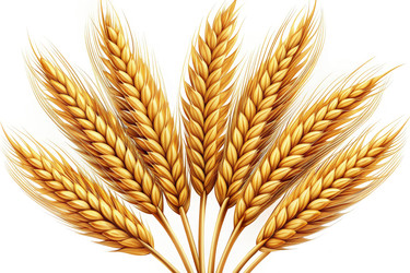 Similar image 22625029