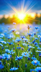 Similar image 22625614