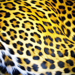 Similar image 22623576