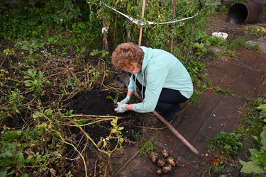 Similar image 22618491