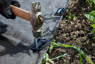 Similar image 22618492