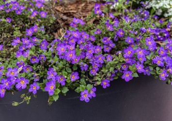 Similar image 22618493