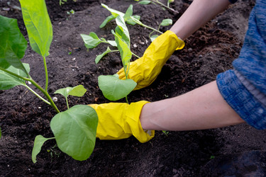 Similar image 22618496