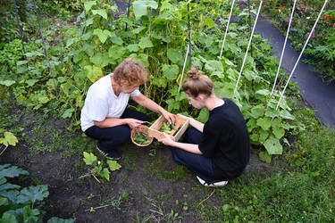 Similar image 22618497