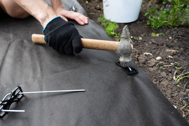 Similar image 22618498