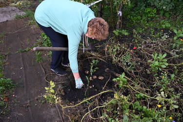 Similar image 22618499